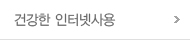 건강한 인터넷사용